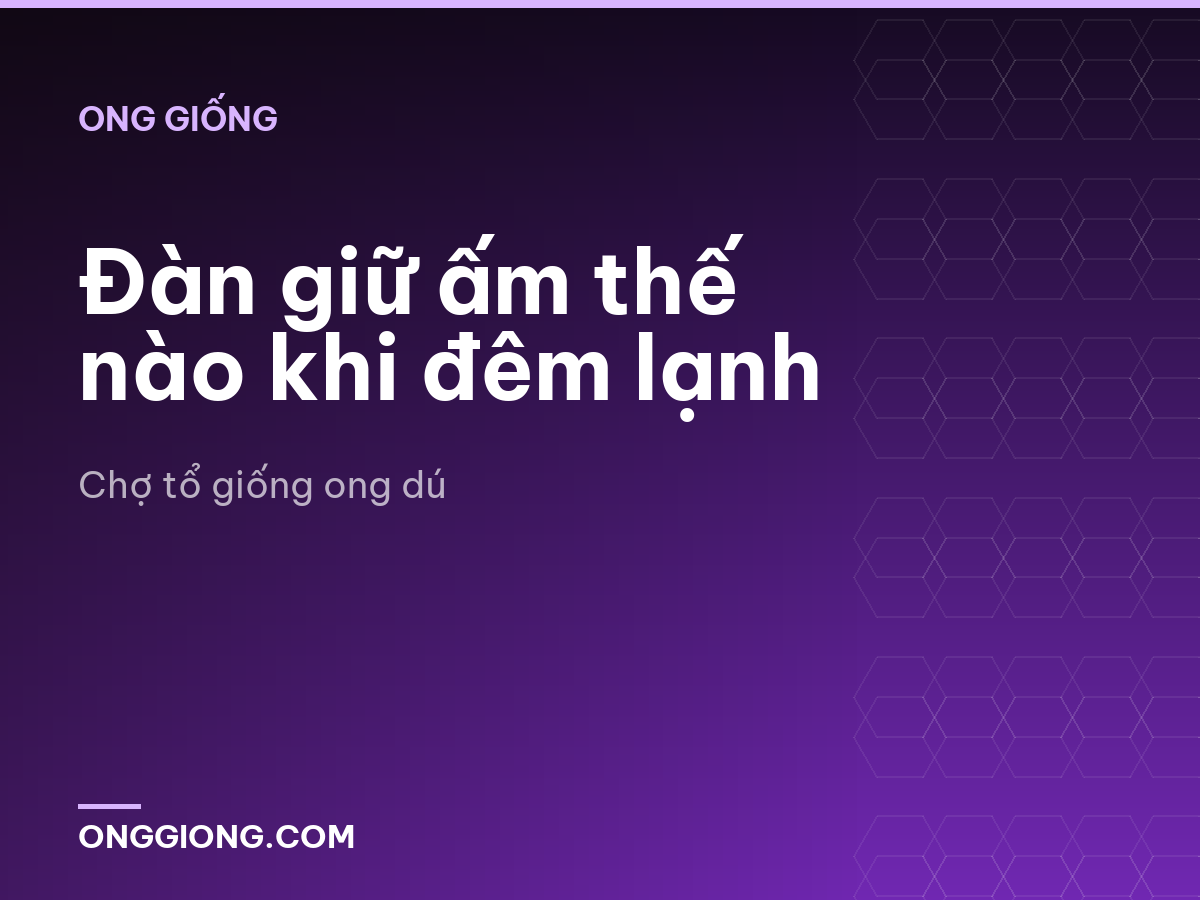 Đàn giữ ấm thế nào khi đêm lạnh