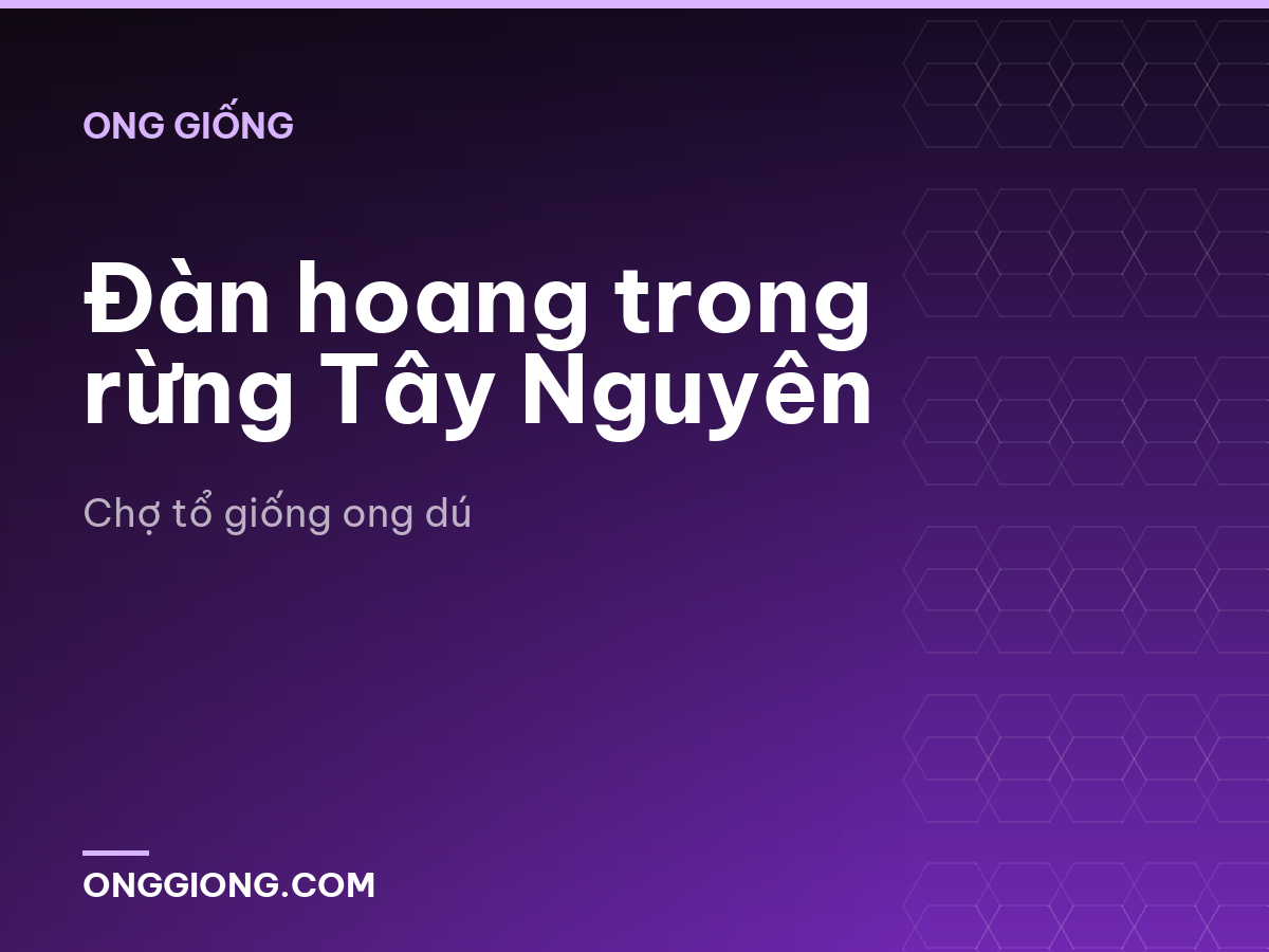 Đàn hoang trong rừng Tây Nguyên