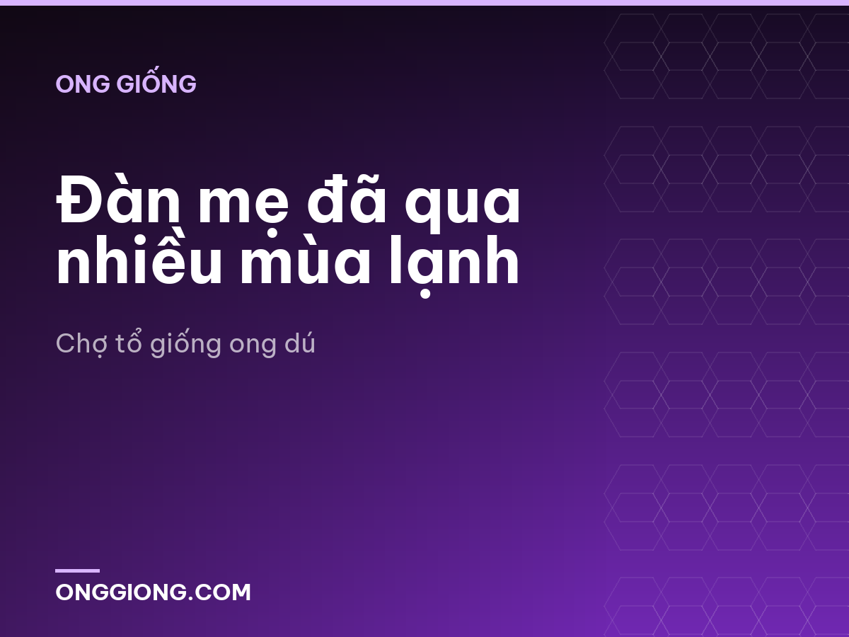 Đàn mẹ đã qua nhiều mùa lạnh