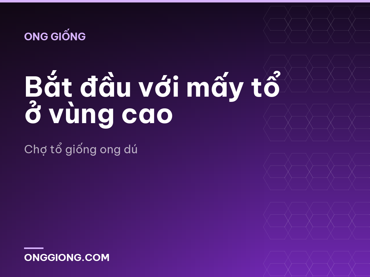 Bắt đầu với mấy tổ ở vùng cao
