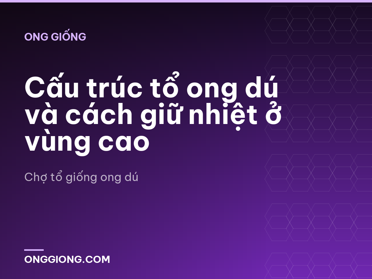 Cấu trúc tổ ong dú và cách giữ nhiệt ở vùng cao
