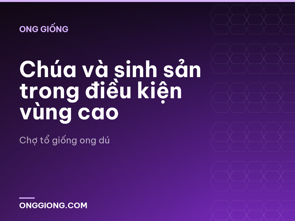 Chúa và sinh sản trong điều kiện vùng cao