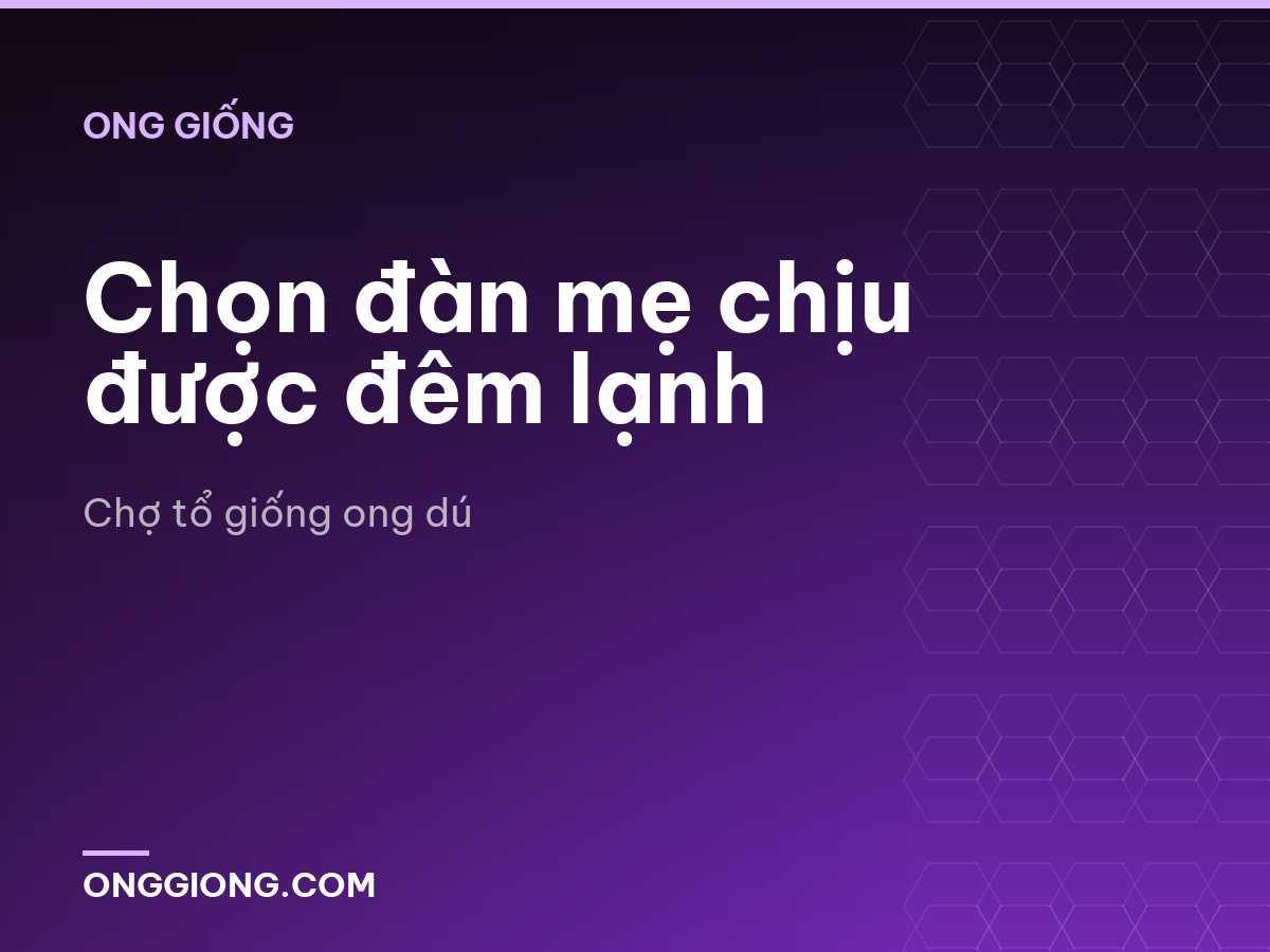 Chọn đàn mẹ chịu được đêm lạnh