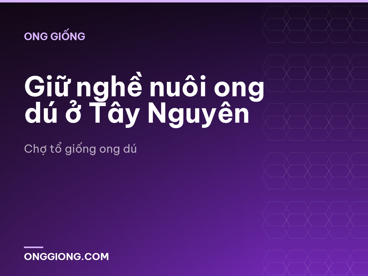 Giữ nghề nuôi ong dú ở Tây Nguyên