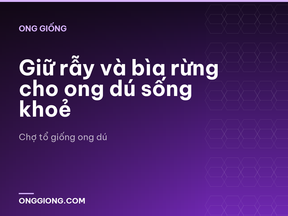 Giữ rẫy và bìa rừng cho ong dú sống khoẻ