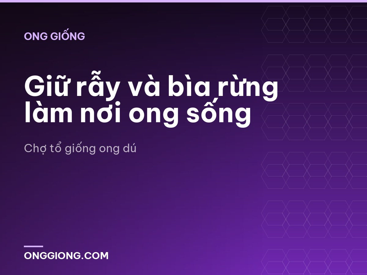 Giữ rẫy và bìa rừng làm nơi ong sống