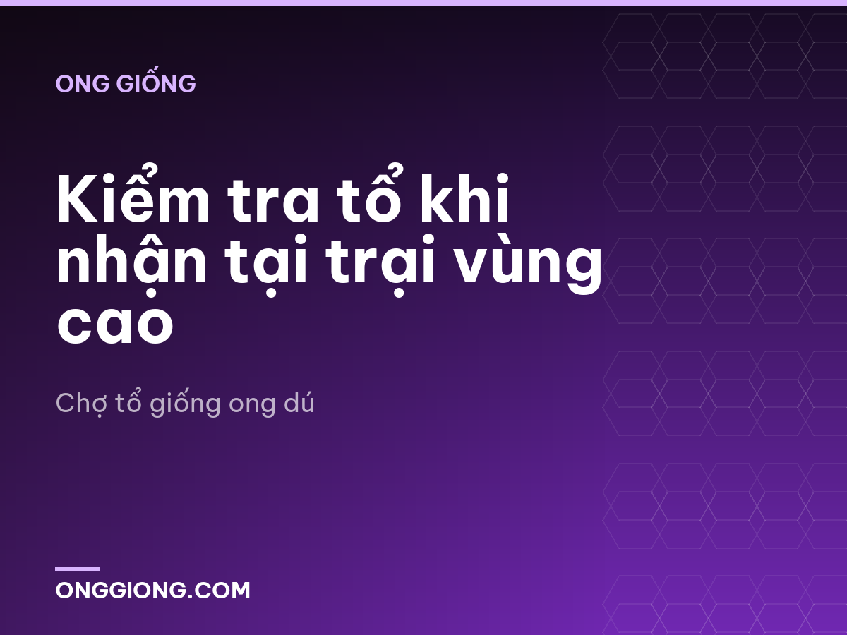 Kiểm tra tổ khi nhận tại trại vùng cao