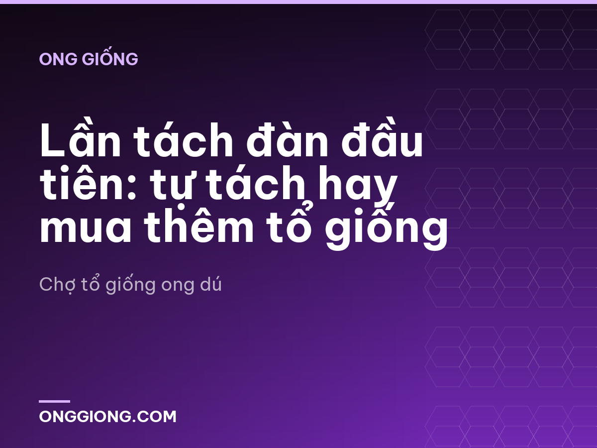 Lần tách đàn đầu tiên: tự tách hay mua thêm tổ giống
