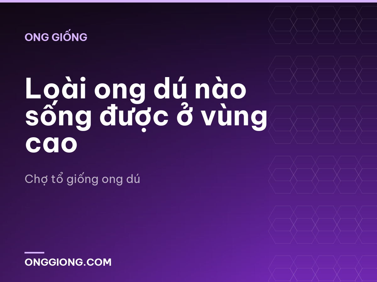 Loài ong dú nào sống được ở vùng cao
