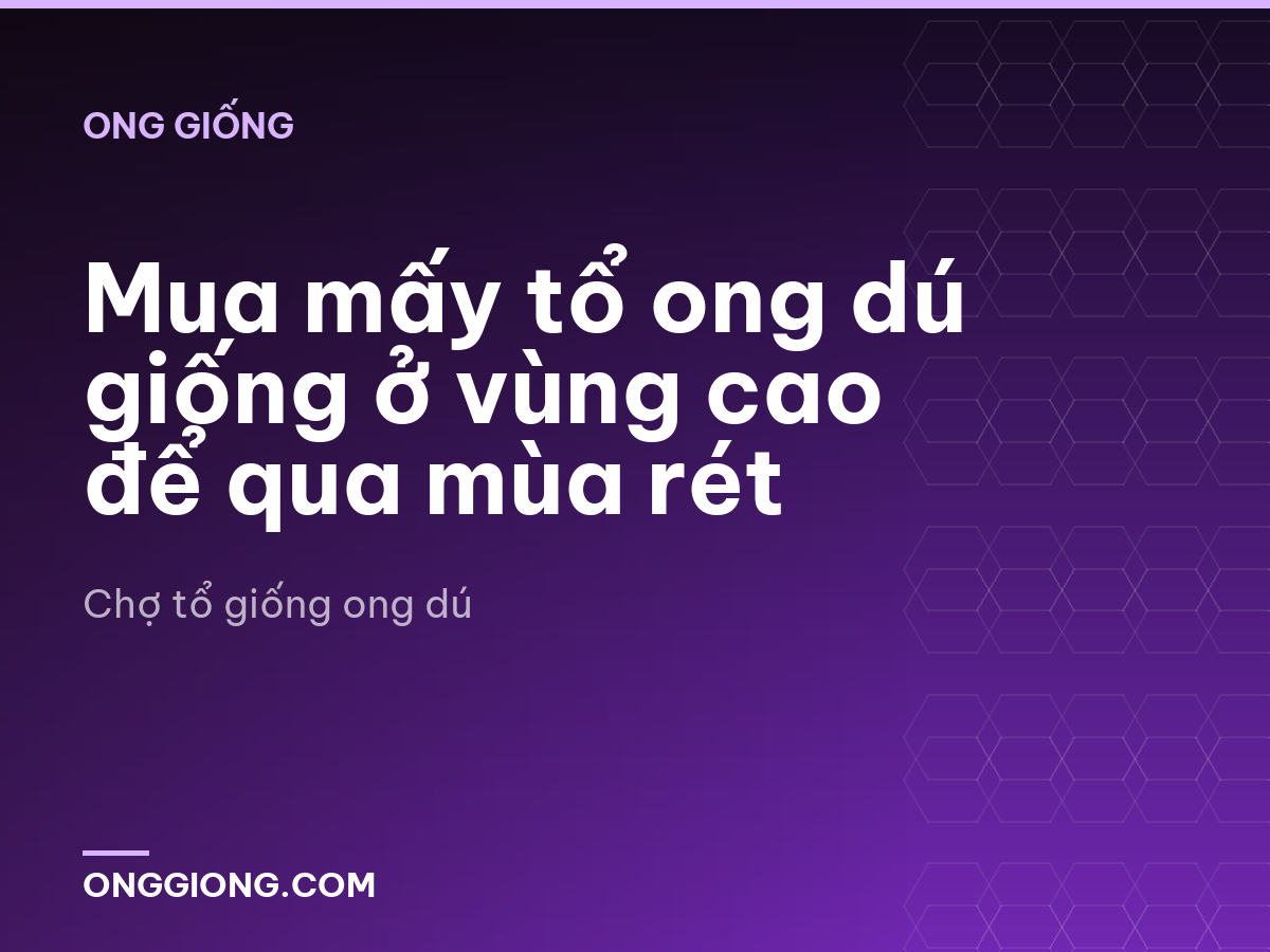 Mua mấy tổ ong dú giống ở vùng cao để qua mùa rét