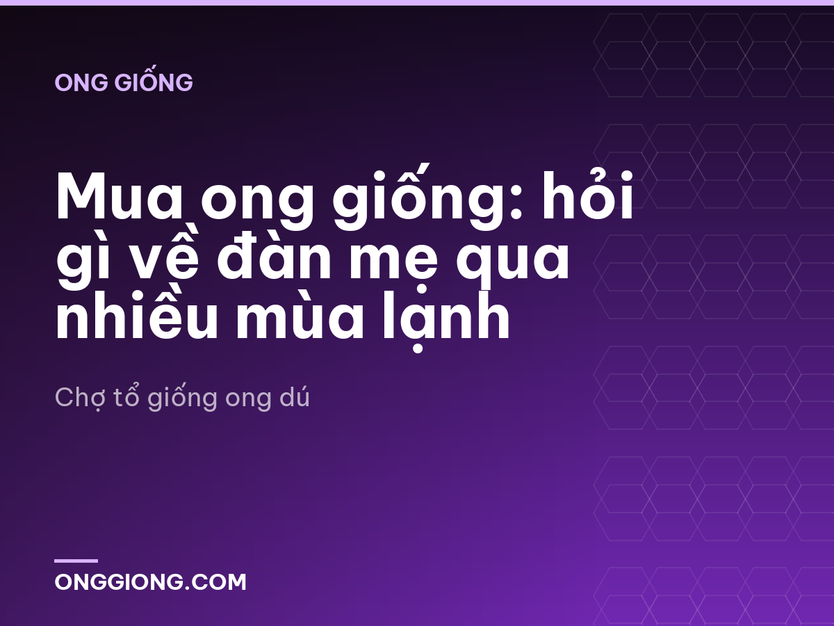Mua ong giống: hỏi gì về đàn mẹ qua nhiều mùa lạnh