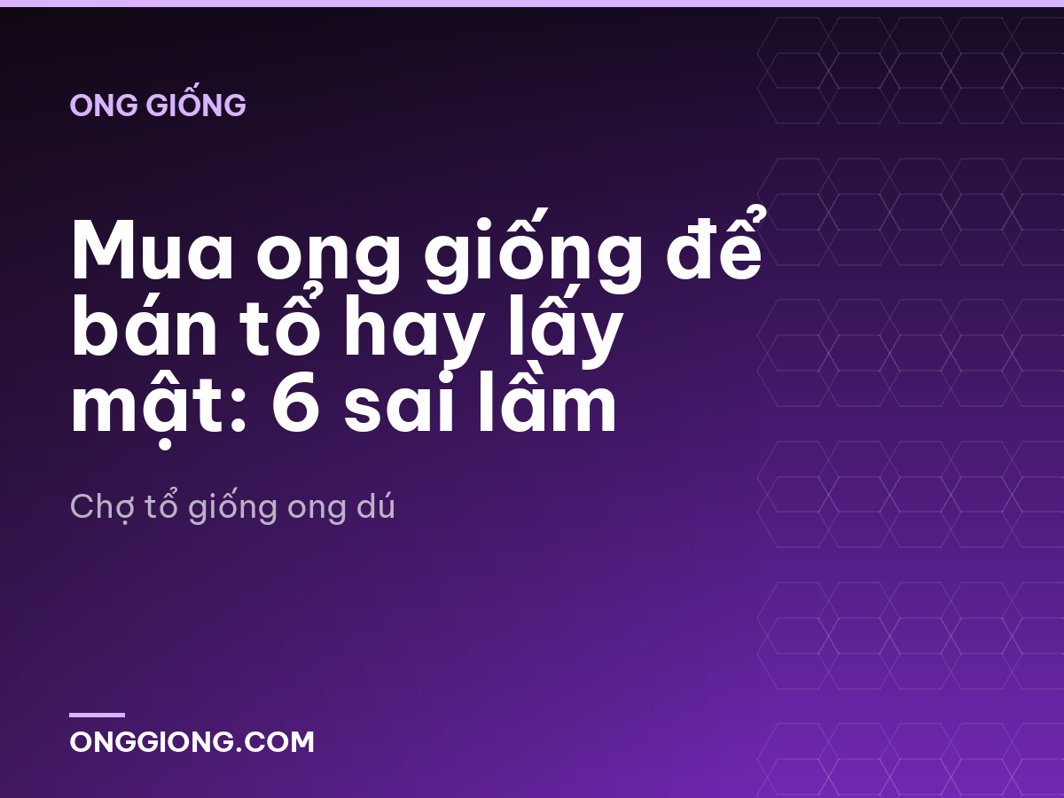 Mua ong giống để bán tổ hay lấy mật: 6 sai lầm
