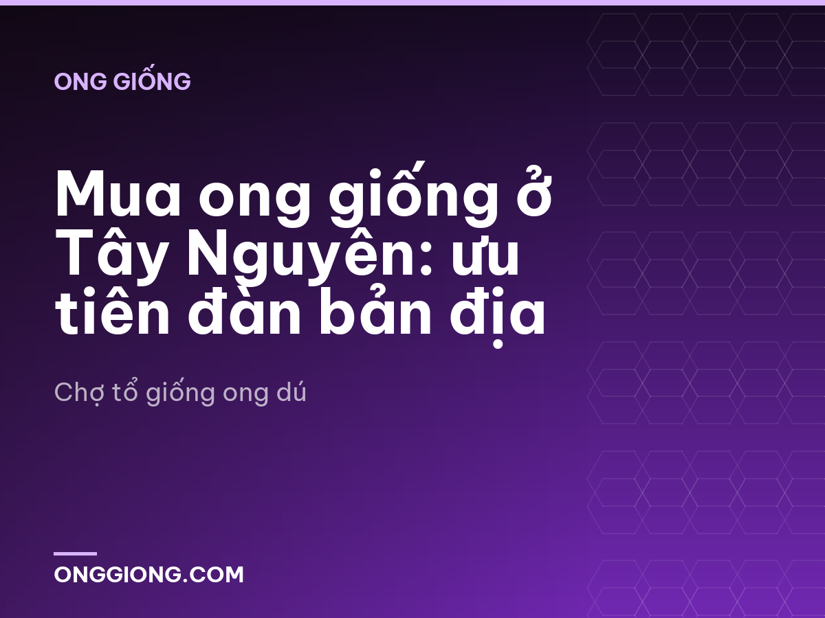 Mua ong giống ở Tây Nguyên: ưu tiên đàn bản địa