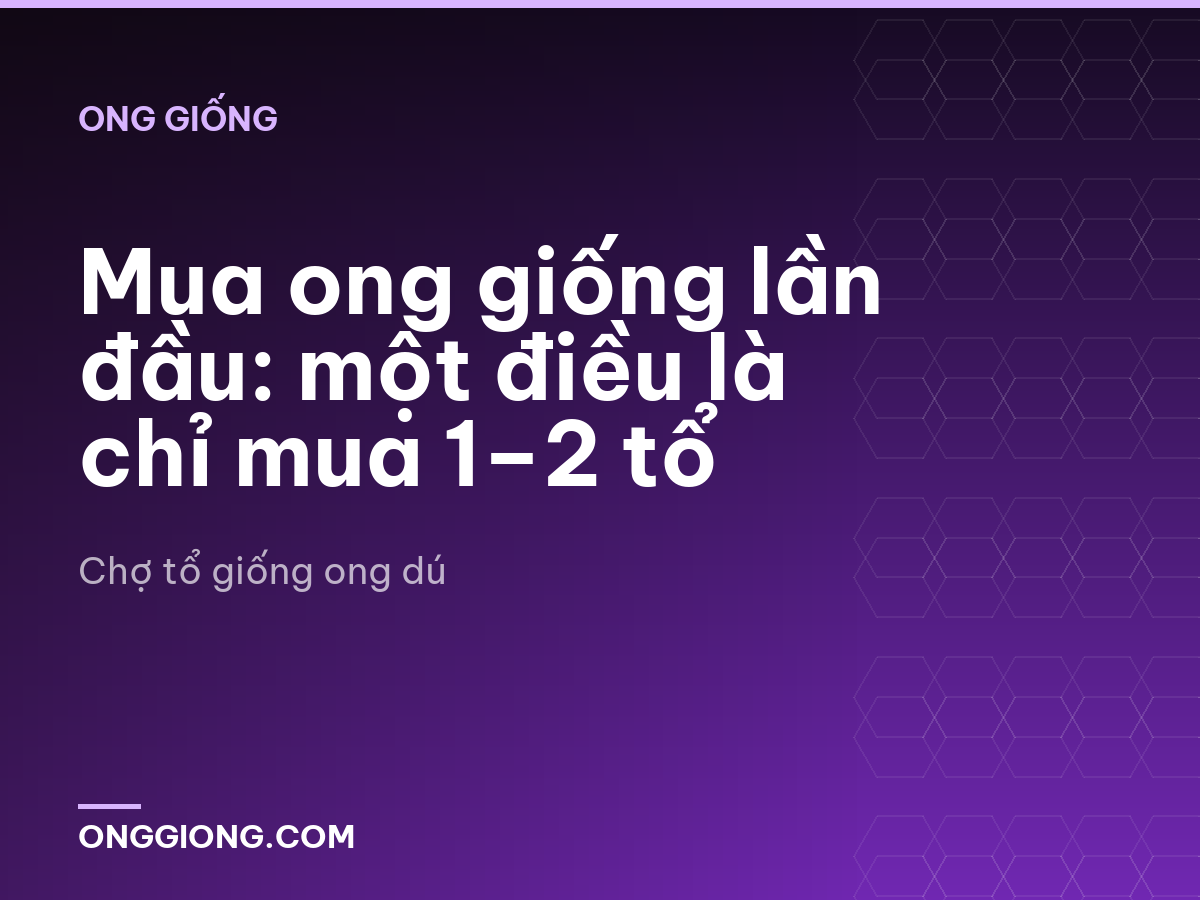 Mua ong giống lần đầu: một điều là chỉ mua 1–2 tổ