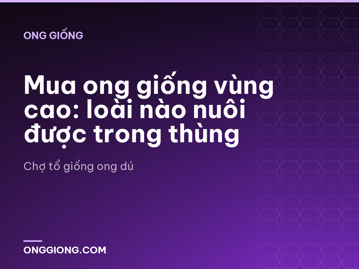Mua ong giống vùng cao: loài nào nuôi được trong thùng