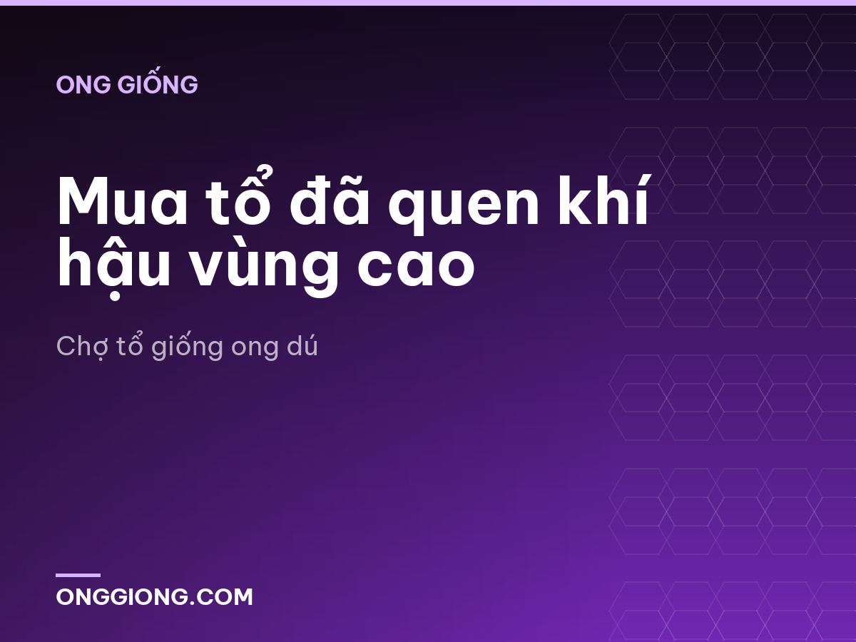 Mua tổ đã quen khí hậu vùng cao
