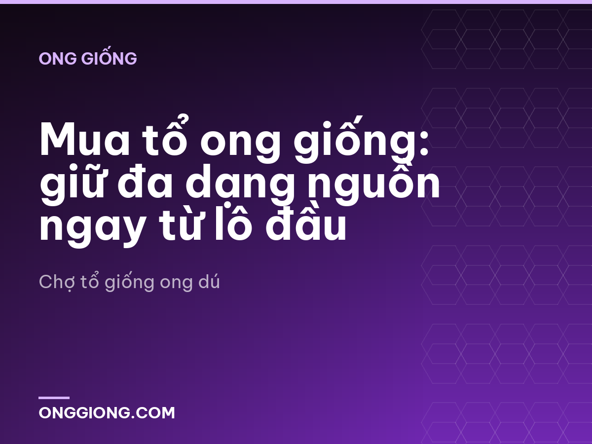 Mua tổ ong giống: giữ đa dạng nguồn ngay từ lô đầu