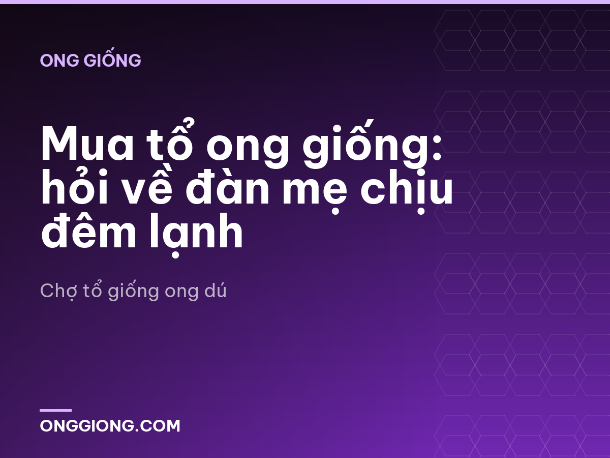 Mua tổ ong giống: hỏi về đàn mẹ chịu đêm lạnh