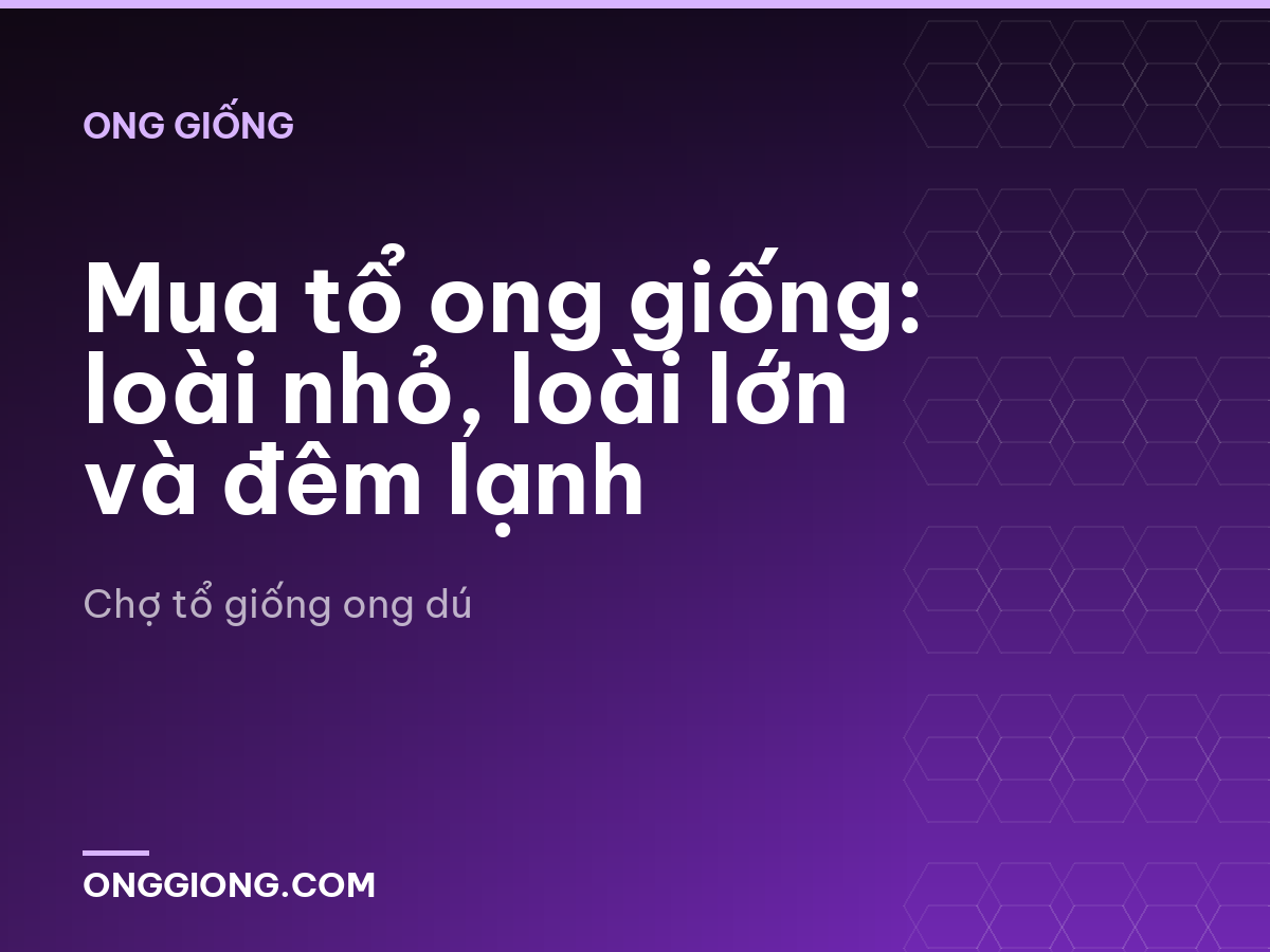 Mua tổ ong giống: loài nhỏ, loài lớn và đêm lạnh