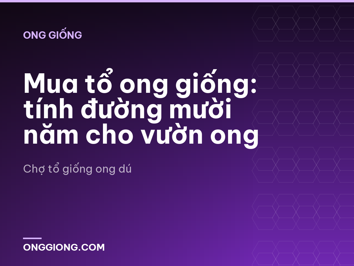 Mua tổ ong giống: tính đường mười năm cho vườn ong