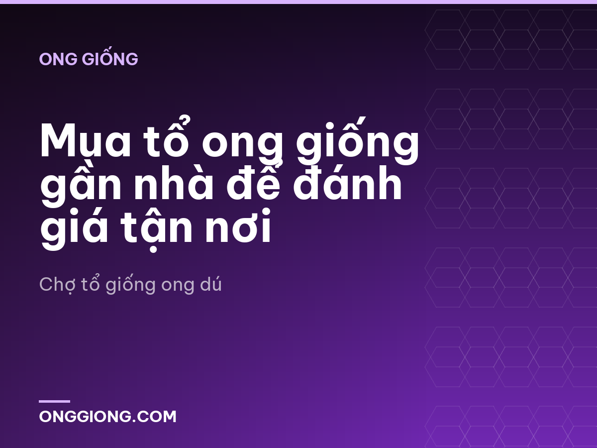 Mua tổ ong giống gần nhà để đánh giá tận nơi