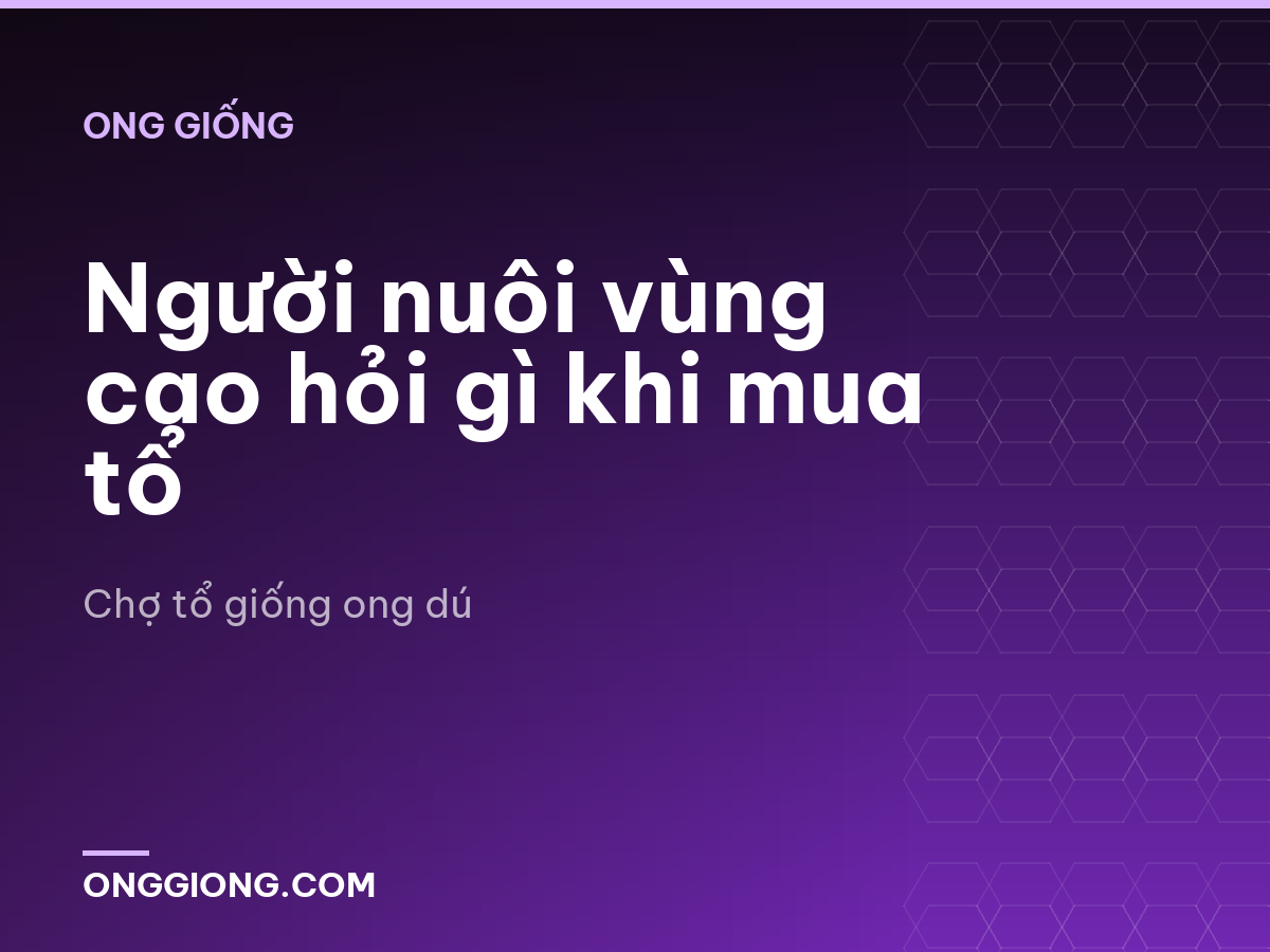 Người nuôi vùng cao hỏi gì khi mua tổ