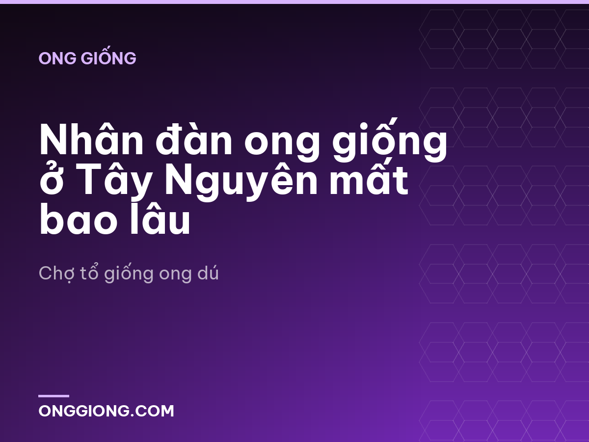 Nhân đàn ong giống ở Tây Nguyên mất bao lâu