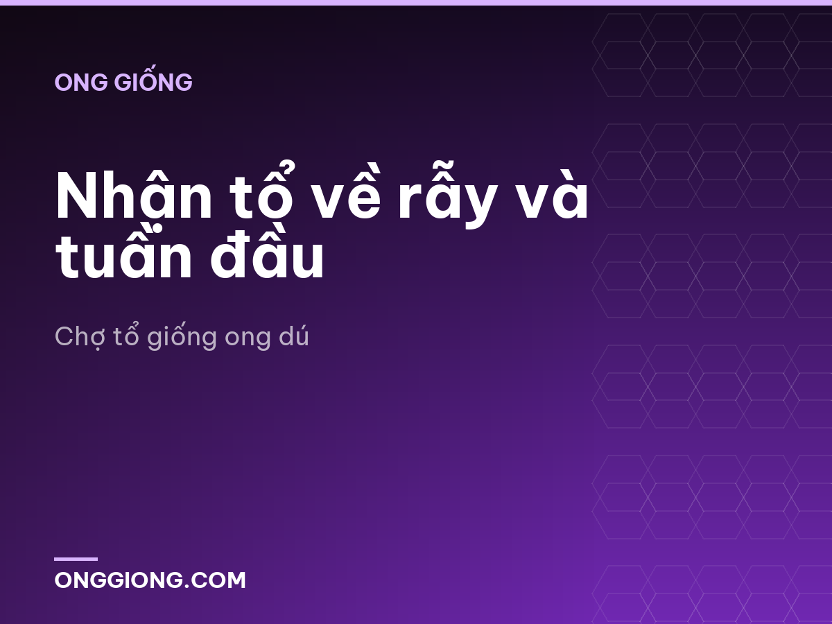 Nhận tổ về rẫy và tuần đầu
