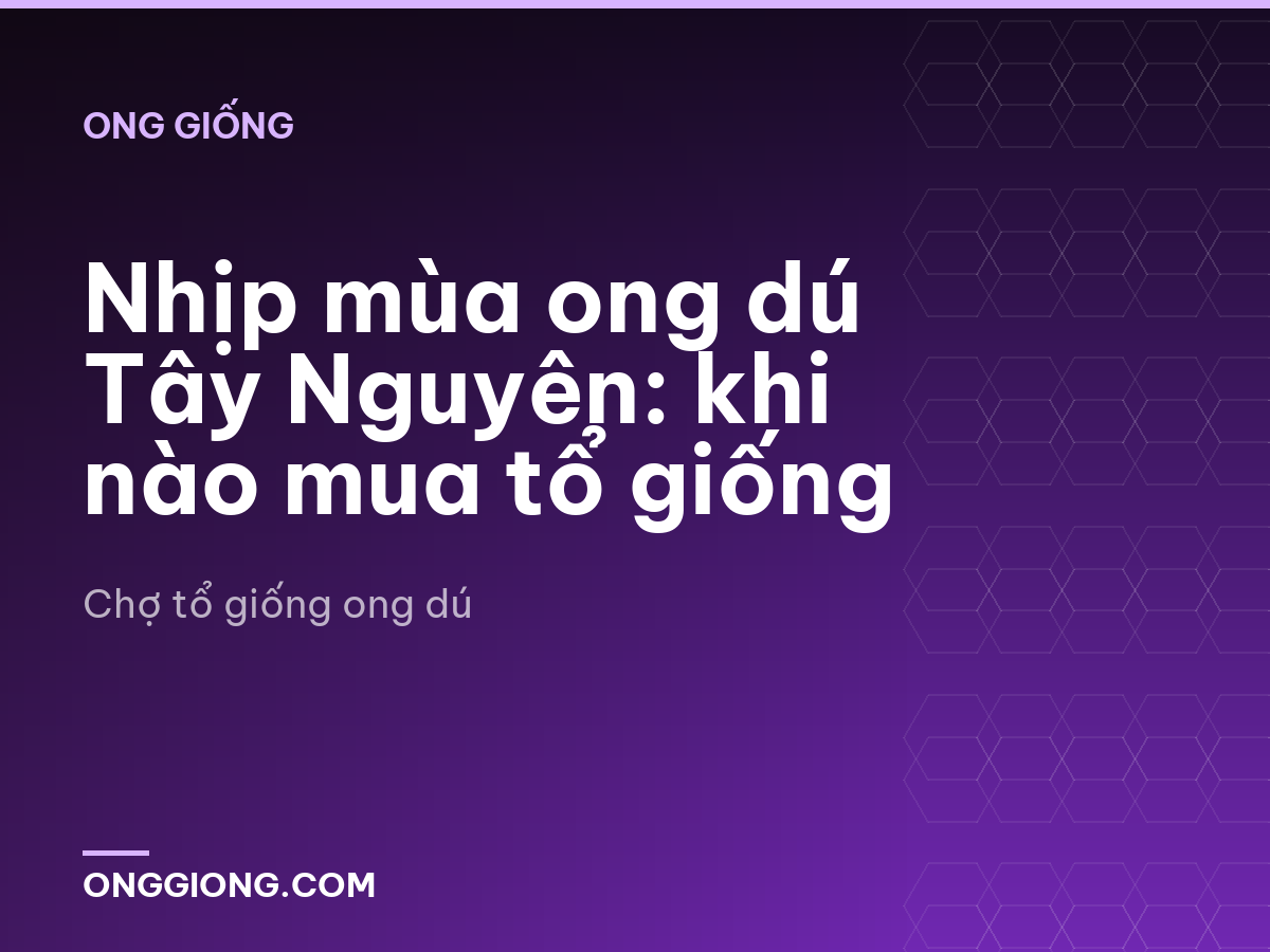 Nhịp mùa ong dú Tây Nguyên: khi nào mua tổ giống