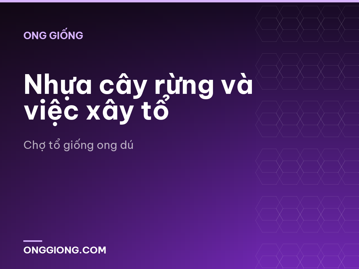 Nhựa cây rừng và việc xây tổ