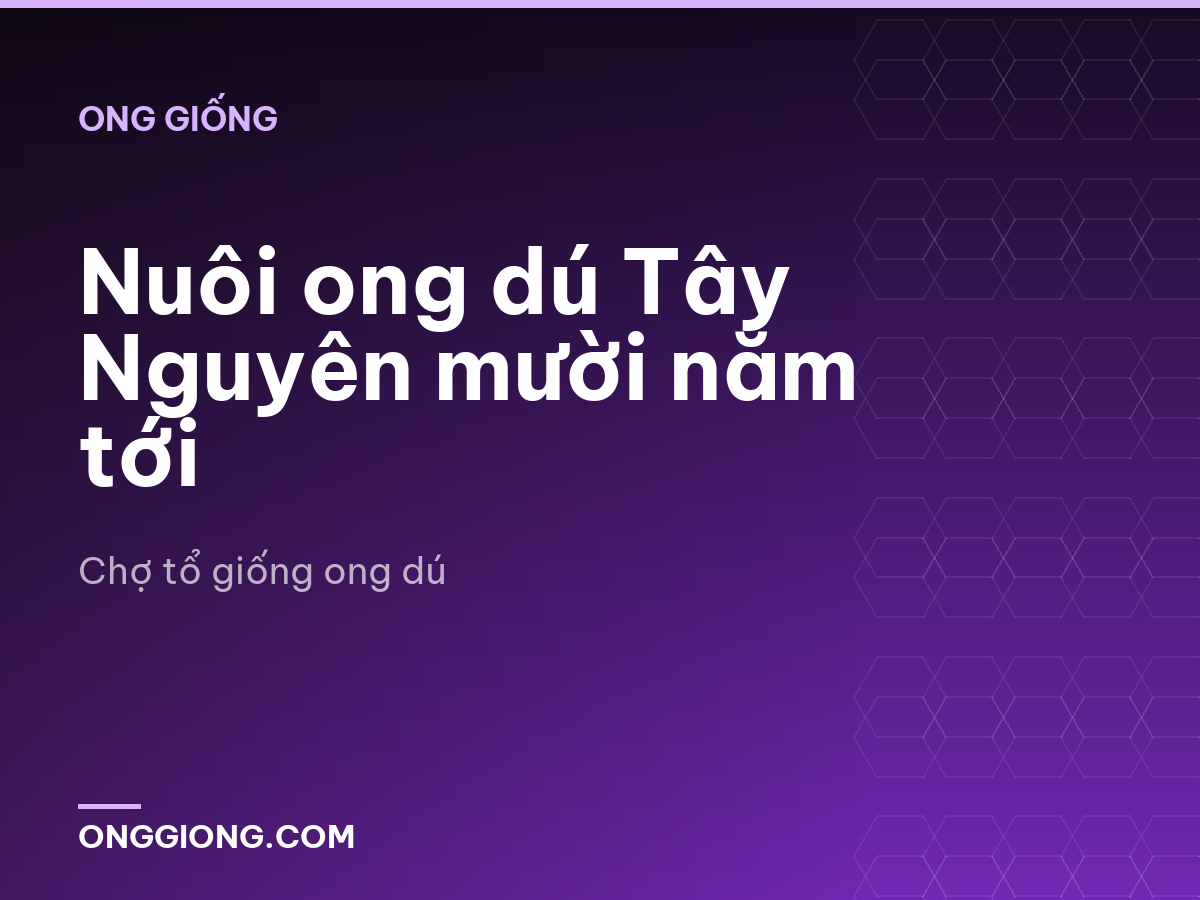 Nuôi ong dú Tây Nguyên mười năm tới