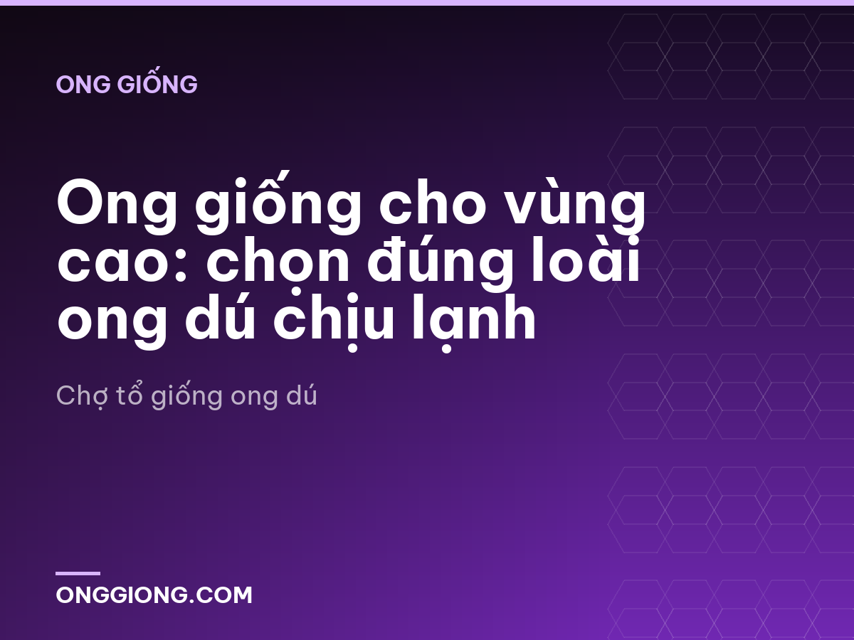 Ong giống cho vùng cao: chọn đúng loài ong dú chịu lạnh