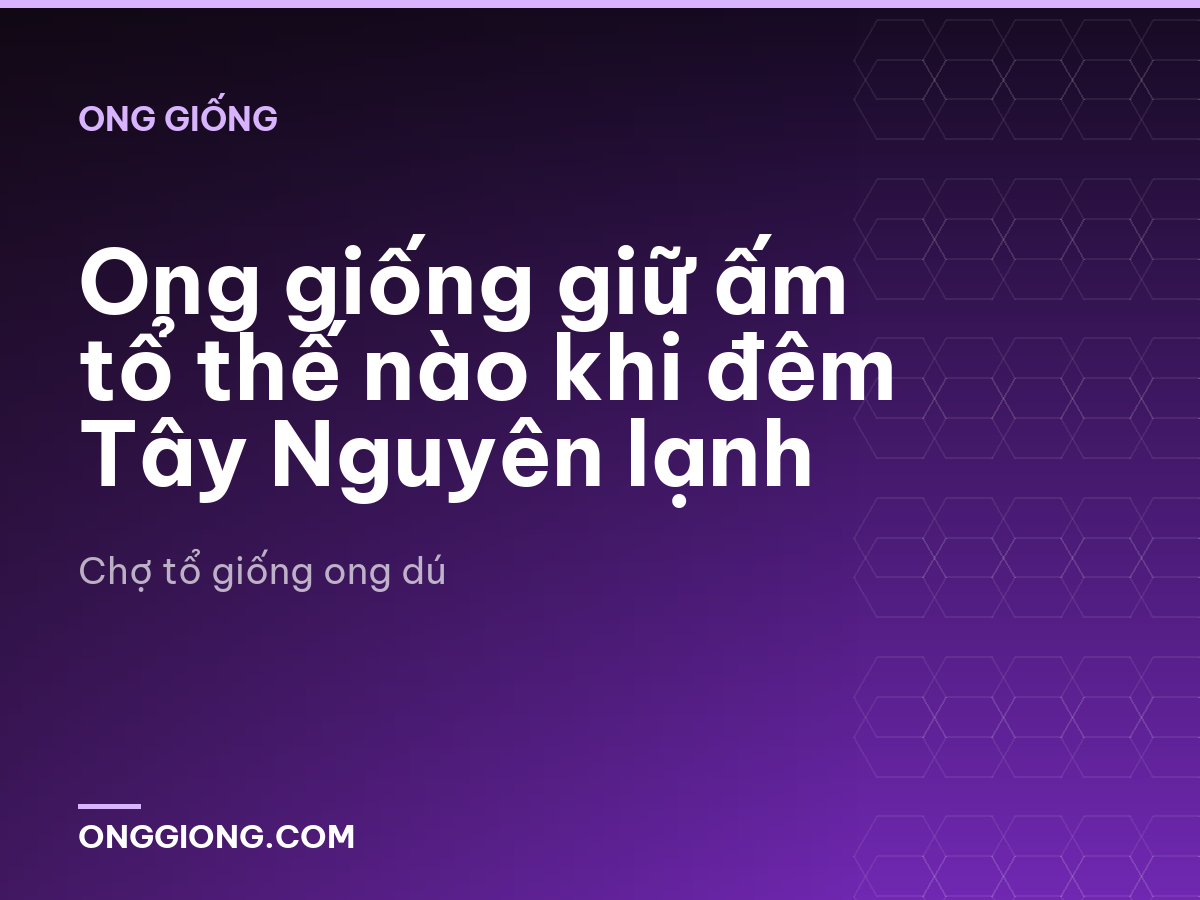 Ong giống giữ ấm tổ thế nào khi đêm Tây Nguyên lạnh