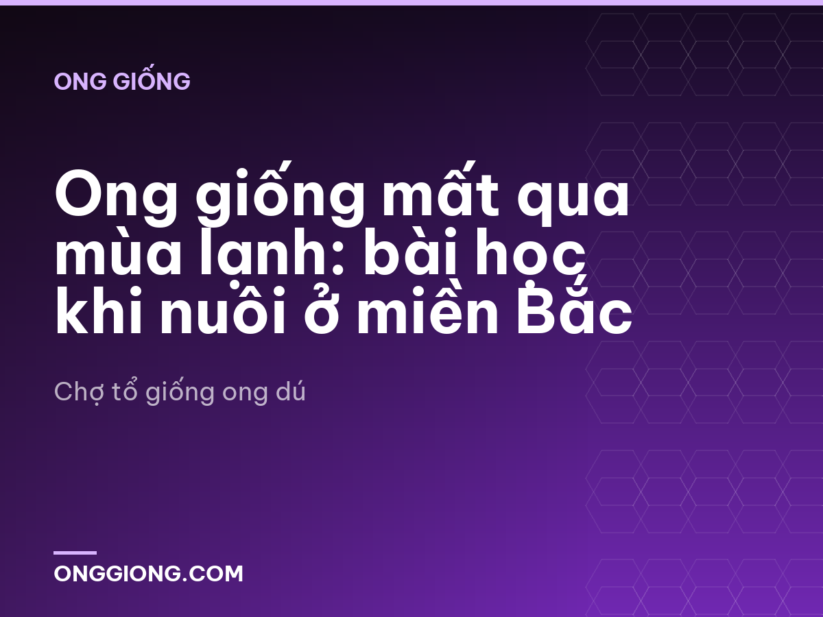 Ong giống mất qua mùa lạnh: bài học khi nuôi ở miền Bắc