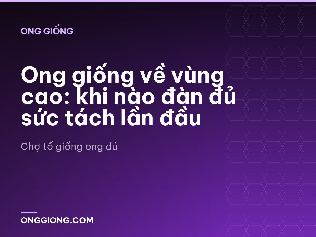 Ong giống về vùng cao: khi nào đàn đủ sức tách lần đầu