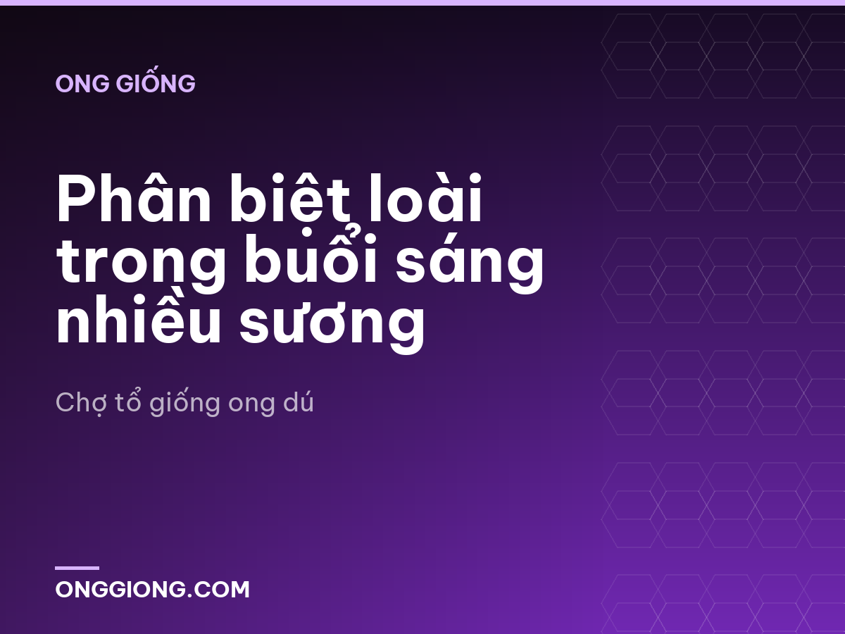 Phân biệt loài trong buổi sáng nhiều sương
