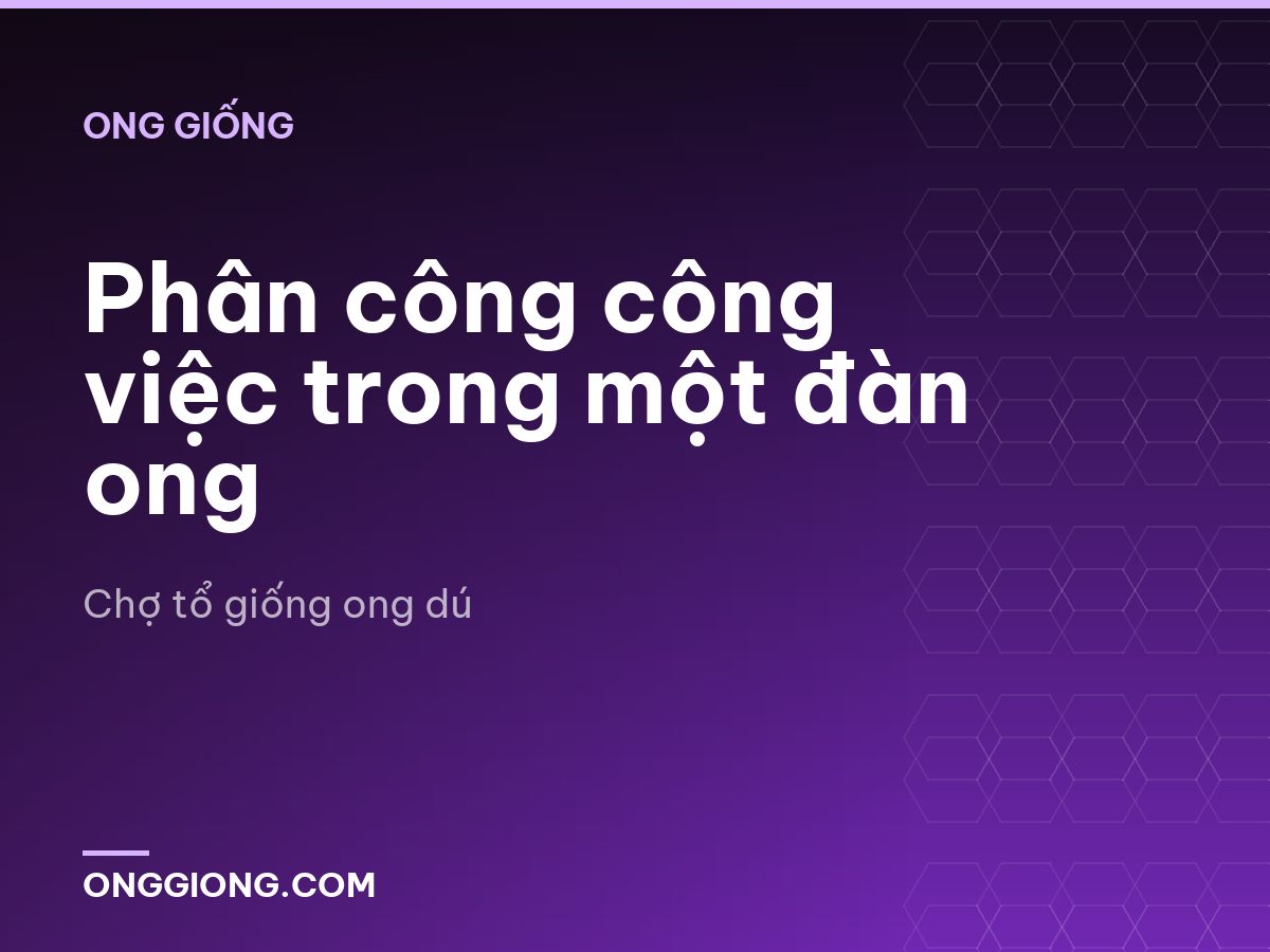 Phân công công việc trong một đàn ong