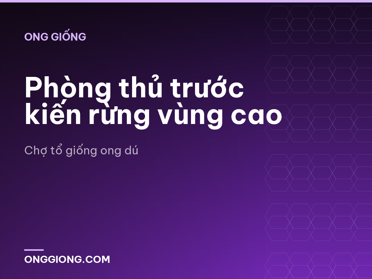 Phòng thủ trước kiến rừng vùng cao