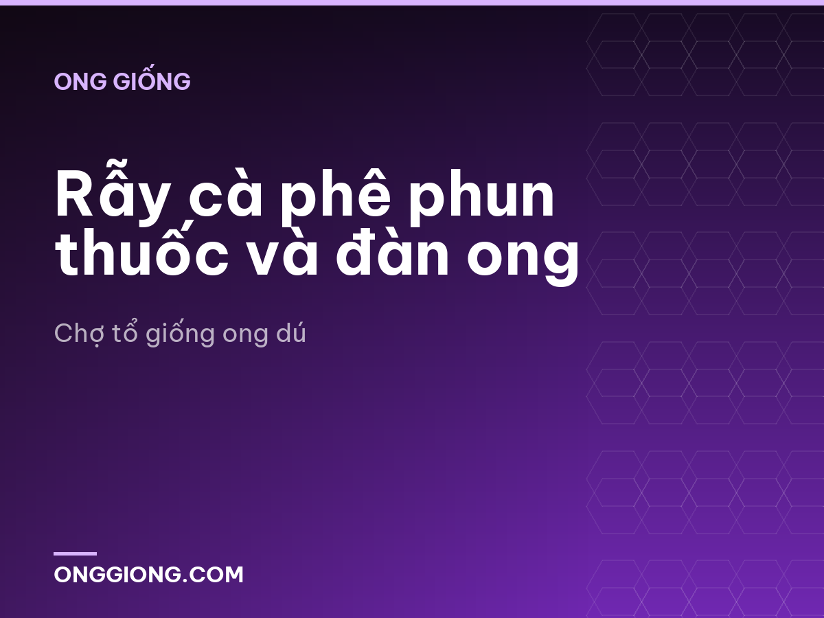 Rẫy cà phê phun thuốc và đàn ong