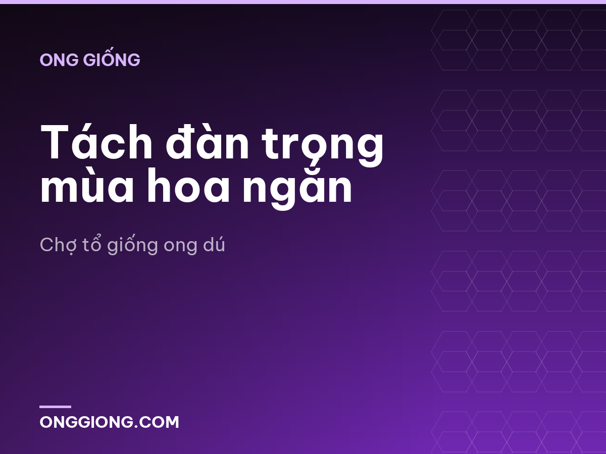 Tách đàn trong mùa hoa ngắn