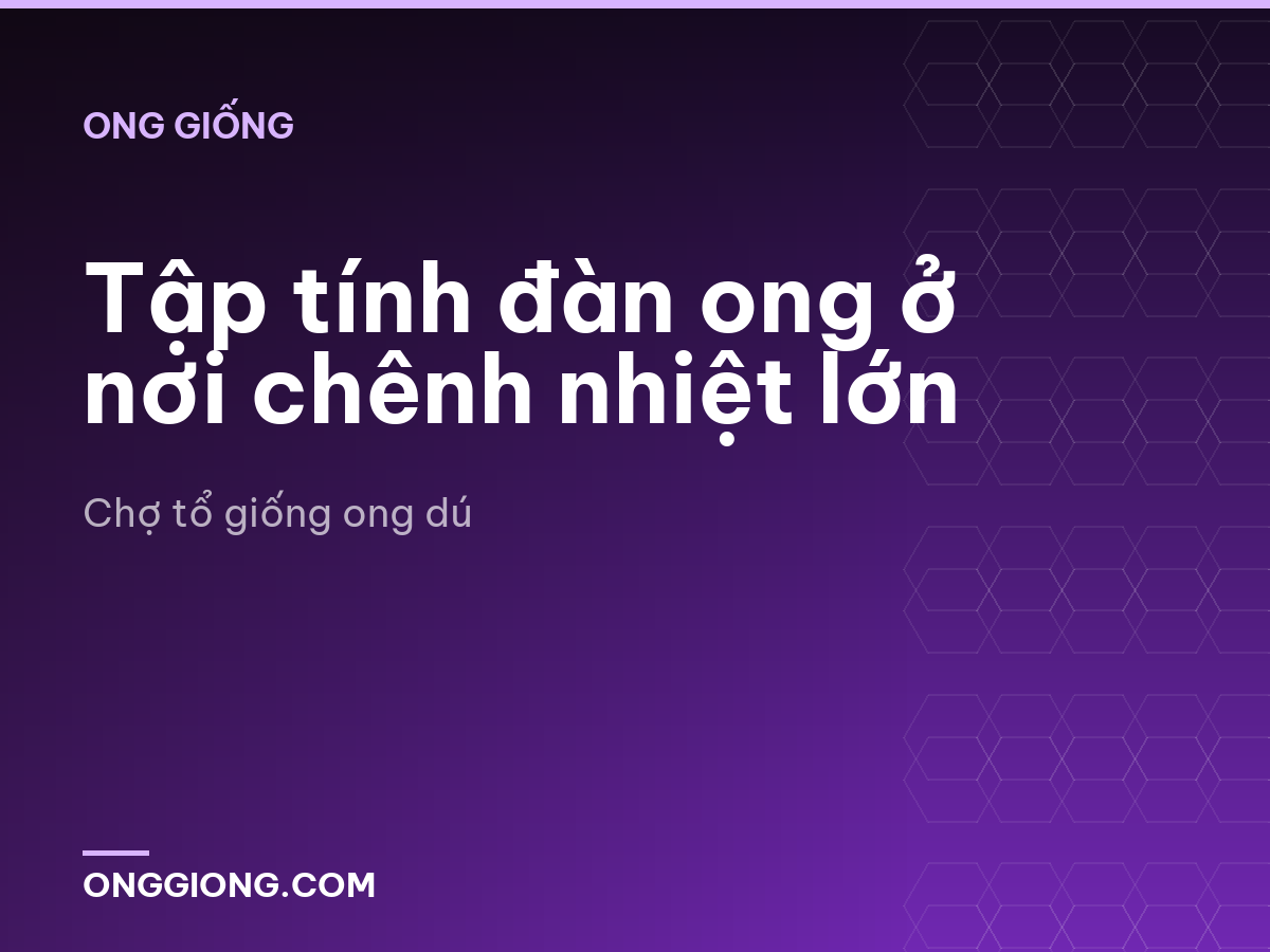 Tập tính đàn ong ở nơi chênh nhiệt lớn