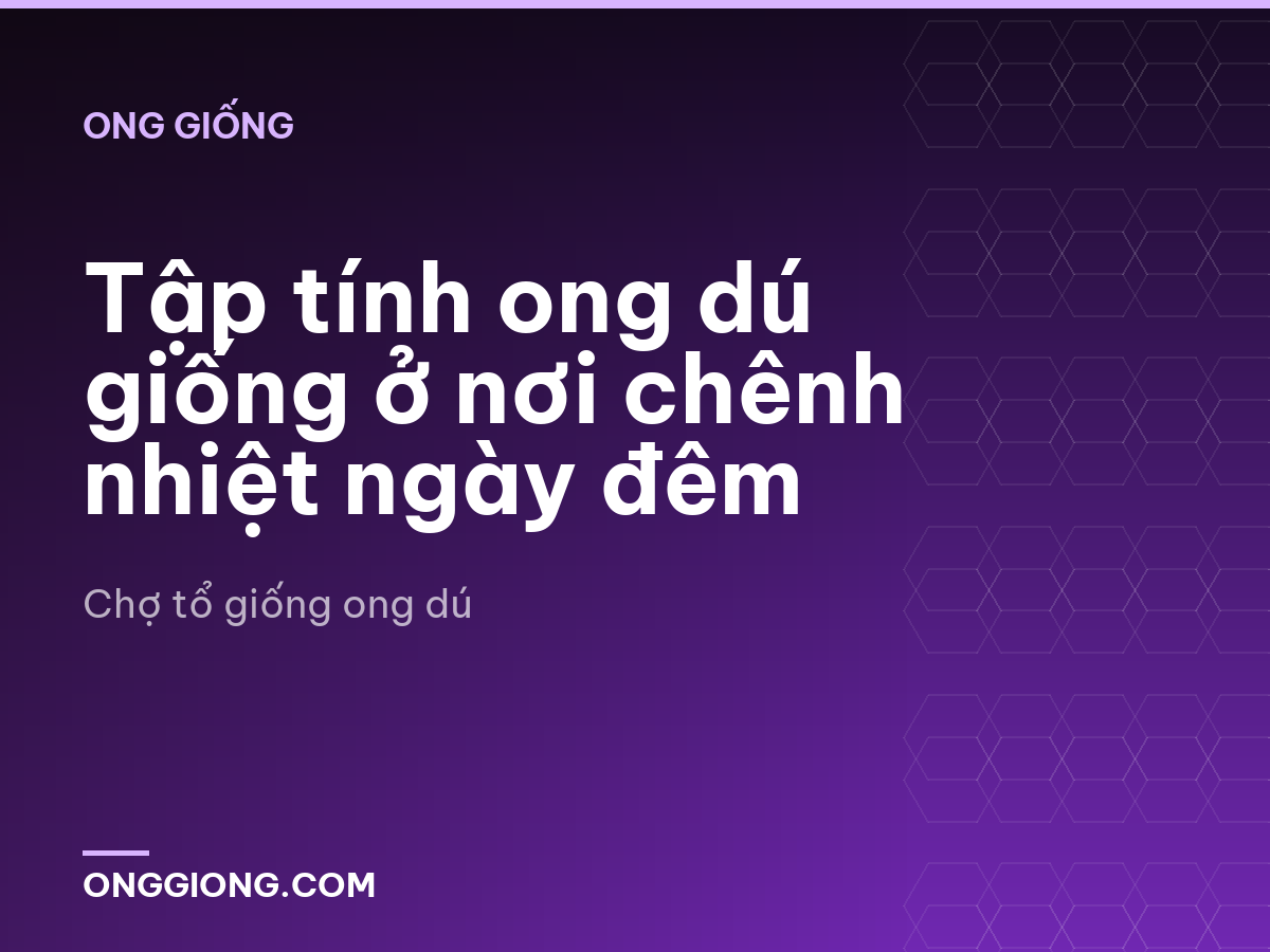 Tập tính ong dú giống ở nơi chênh nhiệt ngày đêm