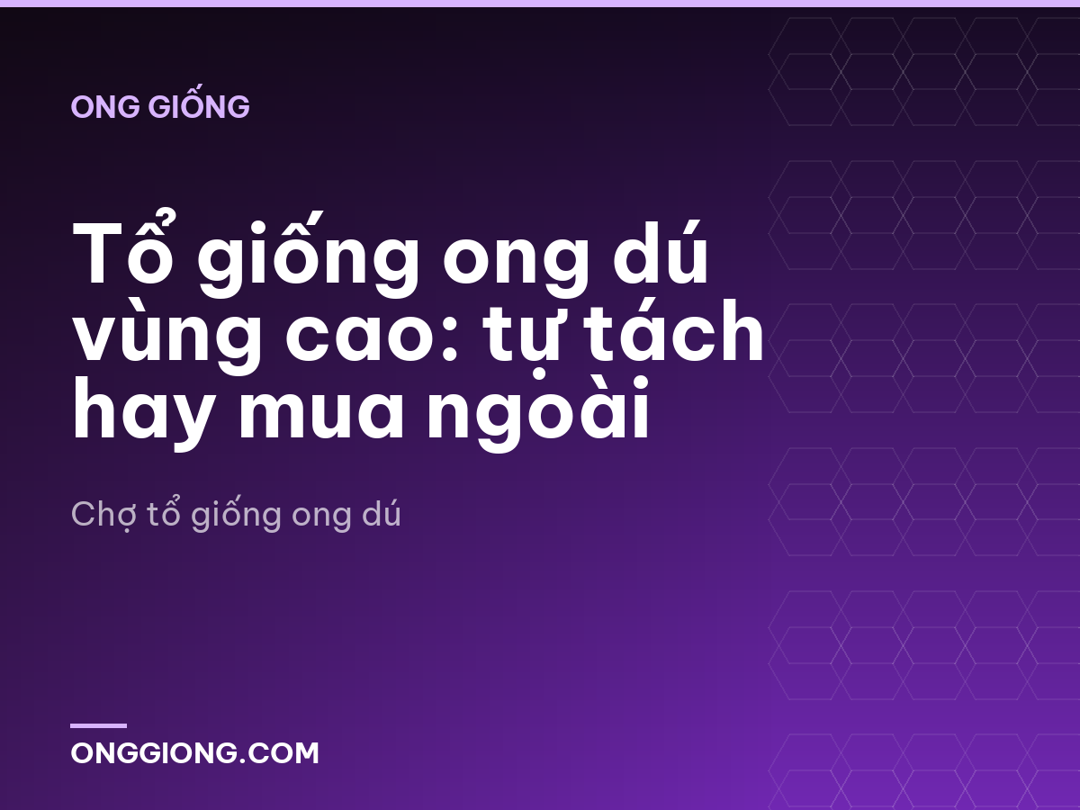 Tổ giống ong dú vùng cao: tự tách hay mua ngoài