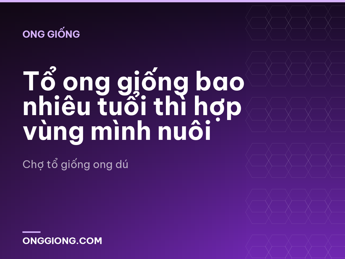 Tổ ong giống bao nhiêu tuổi thì hợp vùng mình nuôi