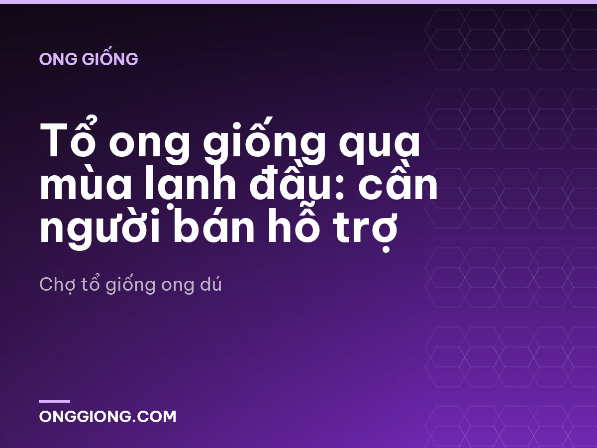 Tổ ong giống qua mùa lạnh đầu: cần người bán hỗ trợ