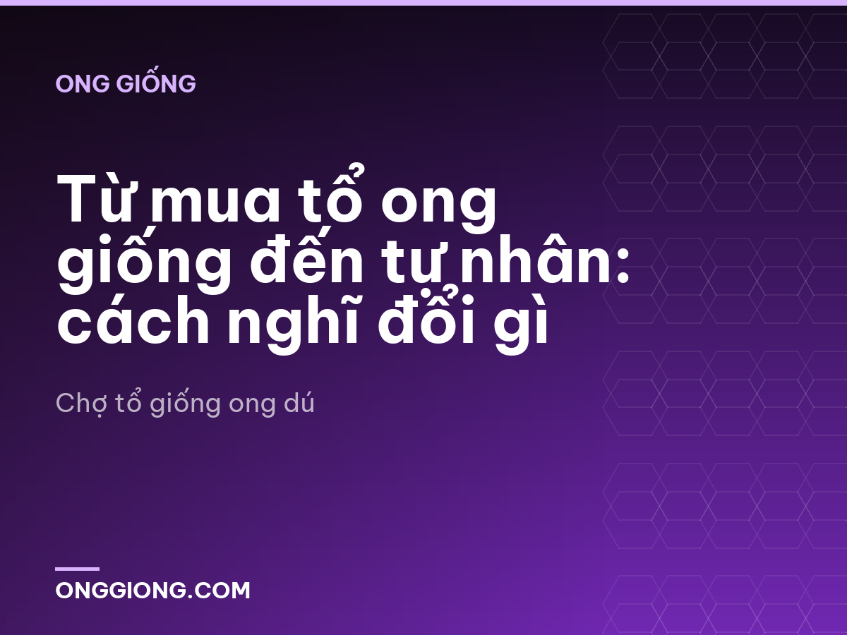 Từ mua tổ ong giống đến tự nhân: cách nghĩ đổi gì
