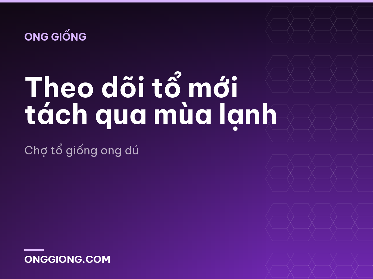 Theo dõi tổ mới tách qua mùa lạnh
