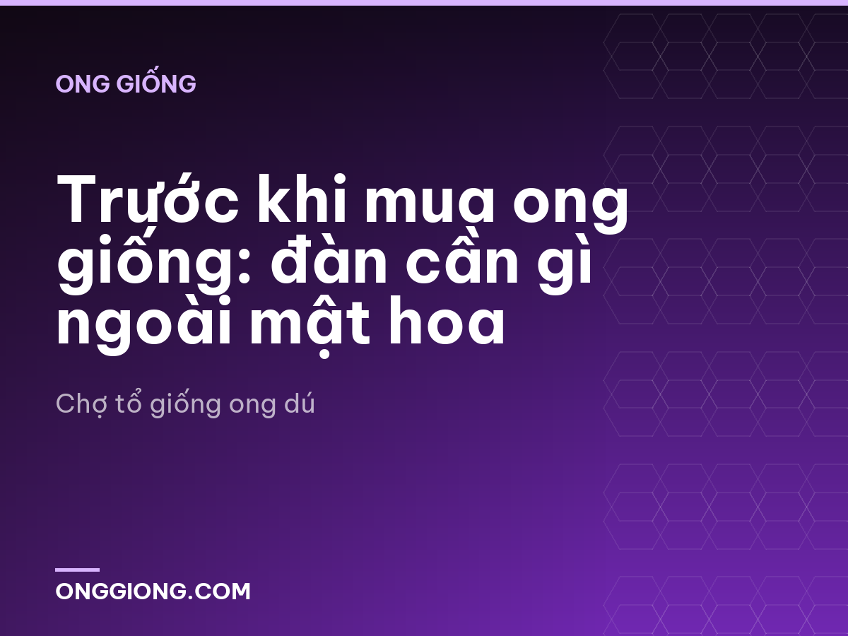 Trước khi mua ong giống: đàn cần gì ngoài mật hoa