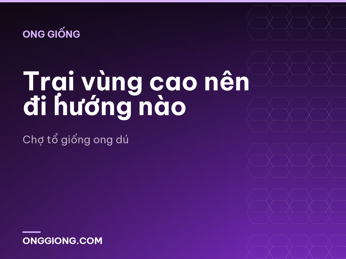 Trại vùng cao nên đi hướng nào