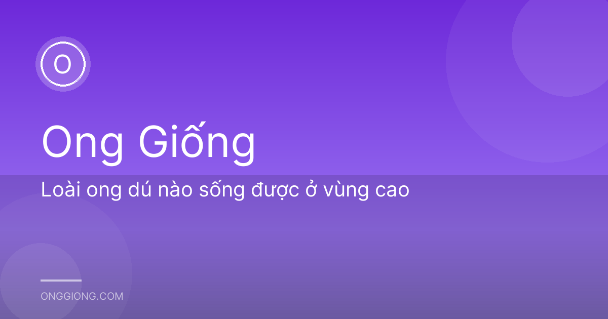 Loài ong dú nào sống được ở vùng cao